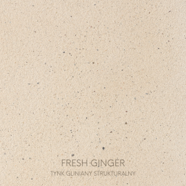 tynk gliniany strukturalny fresh ginger
